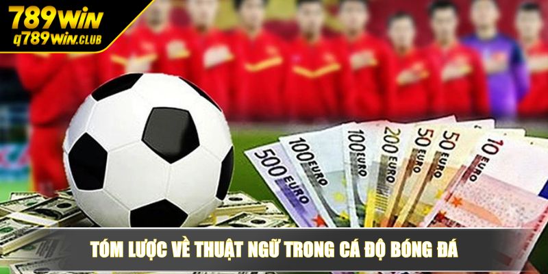 Tóm lược về thuật ngữ trong cá độ bóng đá